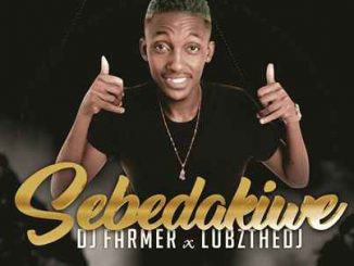 Dj Farmer SA & LubzTheDj – Sebedakiwe Mp3 Download