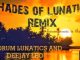 Drum Lunitics And Deejay Leo – Shades Of Lunitics Remix( drumology) Mp3 Download