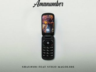 Shaun101 – AmaNumber ft. Stilo Magolide Mp3 Download