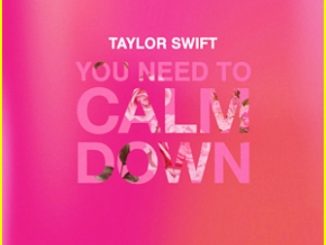 Taylor Swift - You Need To Calm Down Lyrics Fakaza Mp3 Download
