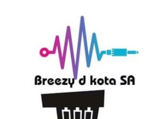 Breezy D Kota – Log Drum Fire Fakaza Download