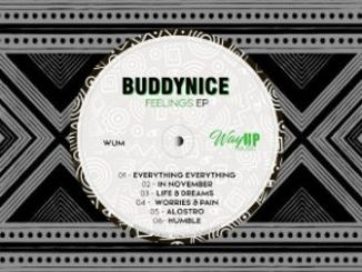 Buddynice – Feelings EP Fakaza Download