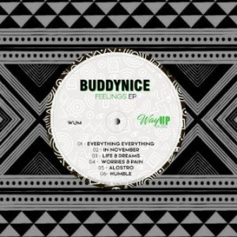 Buddynice, Lucid Deep – Alostro (Redemial Mix). Buddynice – Feelings EP Fakaza Download