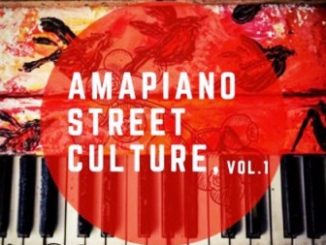 Entity Musiq & Lil’mo – Amapiano Street Culture Vol 1 Album Fakaza Download