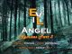 EyeRonik – Evil Angel (Remixes Part 3)