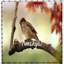 Moody Soul – Amakgai (Amapiano Edit) Mp3 Download