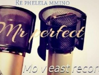Mr Perfect Ft. DJ La bengwa – Swenka Fela Fakaza Mp3