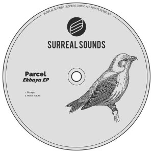 Parcel – Music Is Life (Original Mix) Mp3 Download