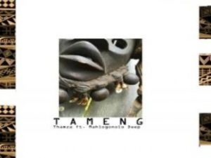 Thamza – Tameng (Dub) Ft. Mahlogonolo Deep Mp3 Download