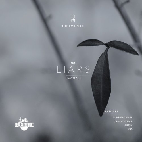 Udumusic, Hlayisani – The Liars (Demented Soul Imp5 Afro Mix) Mp3 Download