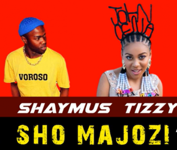 Shaymus Tizzy – Sho Majozi Mp3 Download