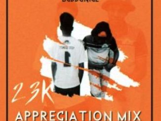 Buddynice – 23K Appreciation Mix (Redemial Sounds) Fakaza 2020