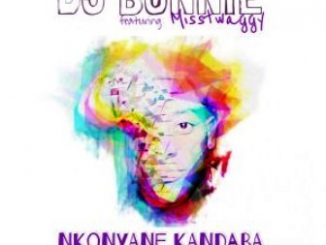 DJ Bonnie Ft. Misstwaggy – Nkonyane Kandaba (Afro Mix) Fakaza 2020