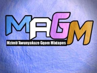 Dlala Chass – Mzimba Awunyakaze Gqom Mix Vol 5 Mp3 Download
