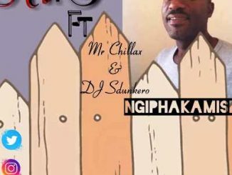 Mr T Ft Mr Chillax & DJ Sdunkero – Ngiphakamise Mp3 Download