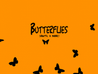 Santic – Butterflies Ft. Mbali Mp3 Download