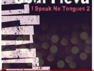 Soul Fleva – I Speak No Tongue, Pt. 2 Fakaza Download Zip File