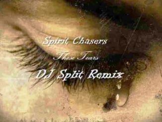 Spiritchaser - These Tears (DJ Split Amapiano Remix) Fakaza