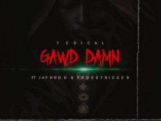 Tedical – Gawd Damn Ft. Jayhood & Pross Trigger Mp3 Download