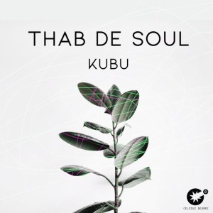 Thab De Soul – Kubu (Original Mix) Mp3 Download