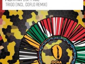 TriGo & T-Man – Ashitwi (Coflo Remix) Fakaza Download