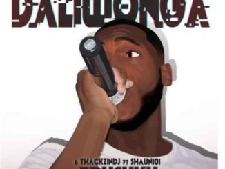 Download Mp3 Daliwonga – Ebusuku Ft. ThackzinDj & Shaun101