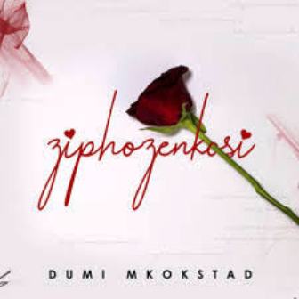 Dumi Mkokstad Ziphozenkosi Fakaza Mp3 Download