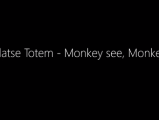 Mahlatse Totem – Monkey see, Monkey do Mp3 Download