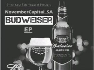 NovemberCapital SA - Budweiser Mp3 Download Fakaza