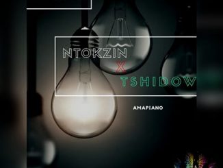 Ntokzin, Tshidiso, Vibe & Dzedze – Ama lights (Vocal Mix) Mp3 Download