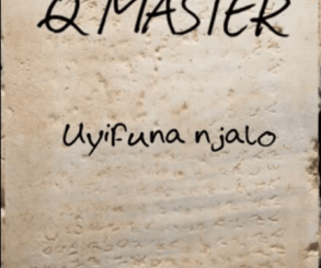 Q MASTER – UYIFUNA NJALO Mp3 Download