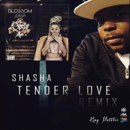 Sha Sha – Tender Love (King Matalic SA Remix) Mp3 Download