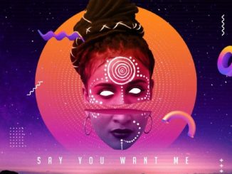 Skindeep – Say You Want Me ft. Dee Cee Mp3 Download