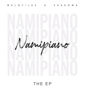 Download Mp3 Smallz – Everybody Say T (Namipiano Remix)