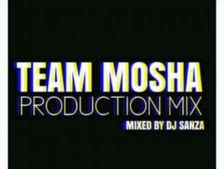 DJ Sanza – Team Mosha Production Mix Mp3 Download