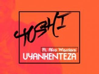 Afro Warriors Ft. Toshi – Uyankenteza (Buddynice Nostalgic Mix) Fakaza Download Mp3