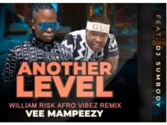 Download Mp3 Vee Mampeezy – Another Level (William Risk’s Afro Vibez Remix) Ft. Dj Sumbody