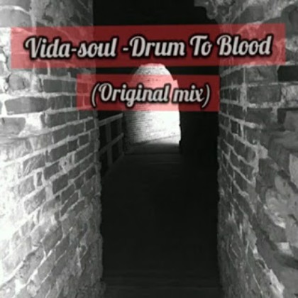 Download Mp3 Vida-soul – Drum To Blood (Original Mix)