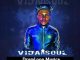 Vida-soul – DrumLoop Musica (Original Mix) Mp3 Download