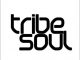 TribeSoul – Higher Gods Mp3 Download
