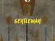 Download Mp3 Afrikan Drums - Gentleman (Original Mix)