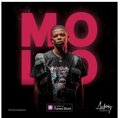 Download Mp3 Aubrey Qwana – Molo