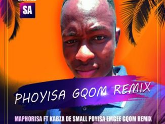 Download Mp3 DJ Emgee – Phoyisa Gqom Remix