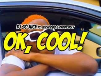 DJ So Nice – Ok Cool Ft. Wichi 1080 & Priddy Vieod Download