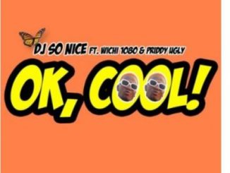 Download Mp3 DJ So Nice – Ok Cool Ft. Wichi1080 & Priddy Ugly
