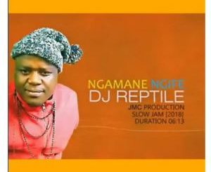 Download Mp3 Dj Reptile – Ngamane Ngife (Slow jam Prod by JMC)