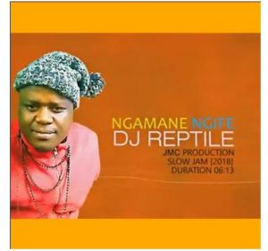 Download Mp3 Dj Reptile – Ngamane Ngife (Slow jam Prod by JMC)