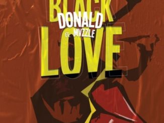 Download Mp3 Donald – Black love Ft. Mvzzle