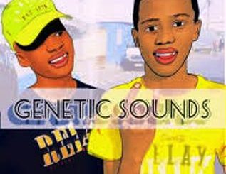 Genetic Sounds – Zizojika Izinto Ft. Max Havoc Mp3 Download Fakza Gqom songs 2020