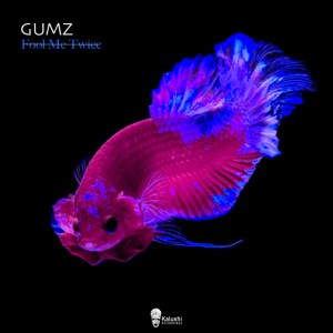 Download EP Zip Gumz – Fool Me Twice